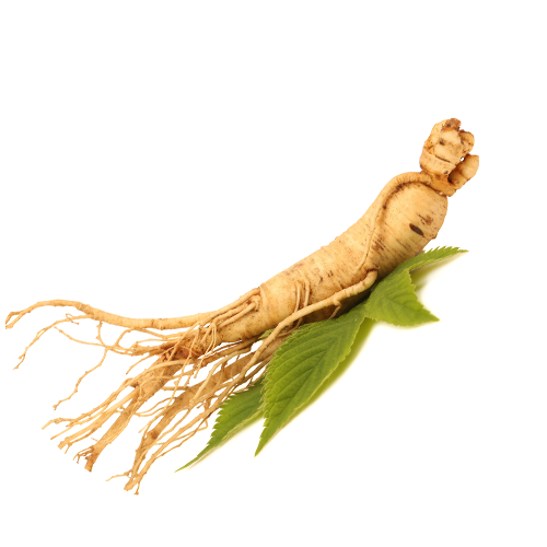 NTG_Nutranergy_Bulle_Ginseng